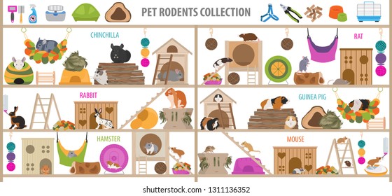 Pet rodents home accessories icon set flat style isolated on white. Care collection. Create own infographic about guinea pig, rat, hamster, chinchilla, mouse, rabbit. Vector illustration