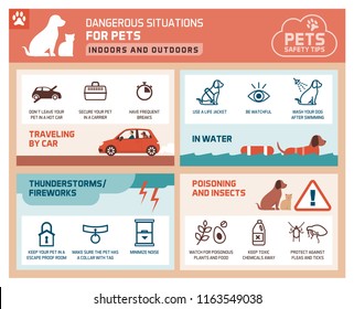 Pet safety tips infographic with icons: how to protect your pets from hazards