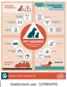 Consejos de seguridad para mascotas infográficos con iconos: cómo proteger a sus mascotas de los peligros