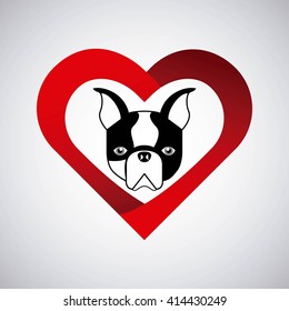pet service design 