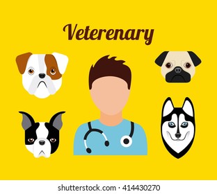 pet service design 