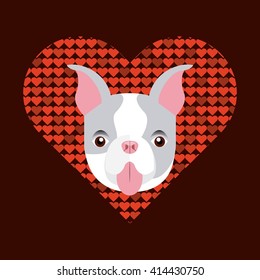 pet service design 