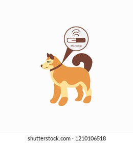 Pet services - microchipping. Icon dogs with microchip pill inside the body and information about owner tagged with a microchip implant. Vector illustration.