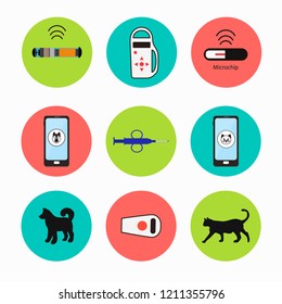 Pet services - microchipping. Icon dogs and cats with microchip pill inside the body and information about owner tagged with a microchip implant. 