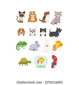 Pet set. Cat, dog, aquarium fish, parrot and turtle isolated vector illustration pixel art 80s style icons. Stickers and embroidery design. Logo design for pet shops, mobile applications.  