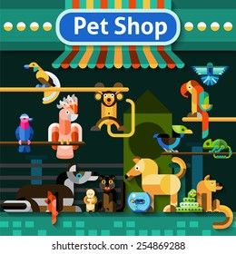 Pet shop background with pets domestic birds snake and iguana vector illustration