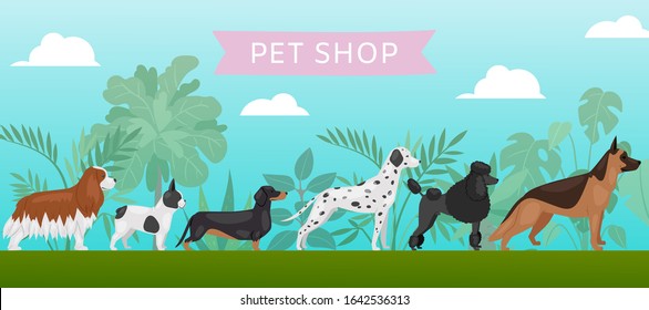 Pet shop banner with different breeds dogs, petshop service vector illustration. Food for big size dogs and home pets. Happy and friendly dogs, dalmatian, bulldog, beagle and poodel with typography.