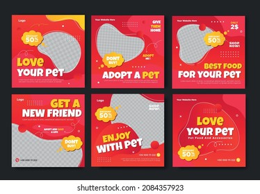 Pet shop banner for social media post and story template	
