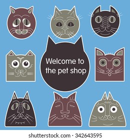Pet shop cats