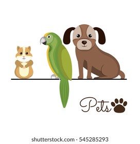 pet shop center icon