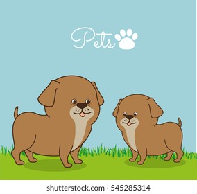 pet shop center icon