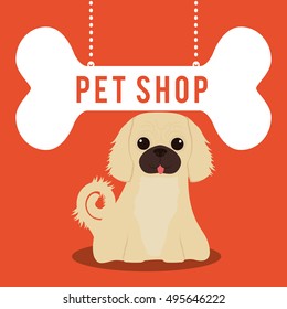 pet shop center icon vector illustration design