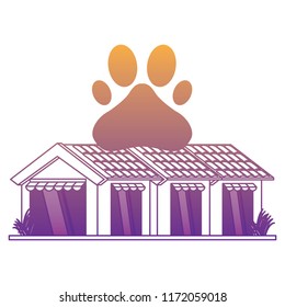 pet shop design