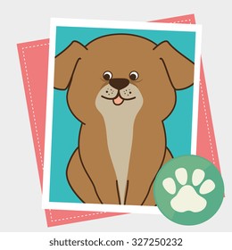 pet shop design, vector illustration eps10 graphic 