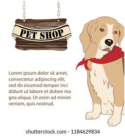 Pet Shop Desk with Beagle dog and Lorem Ipsum text for advertise