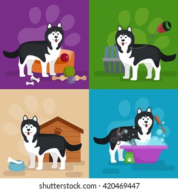 Pet shop, dog goods and supplies, store products for care