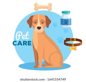 pet shop with dog and set icons vector illustration design