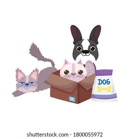 pet shop, little cats and dog with box and food pack animal domestic cartoon vector illustration