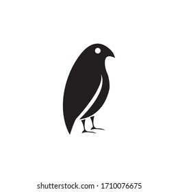 Pet shop logo design concept of bird vector illustration