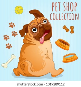 Pet shop poster design with many accessories. Vector illustration.