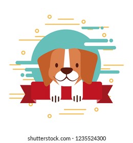pet shop related