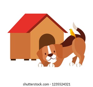 pet shop related