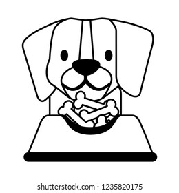 pet shop related