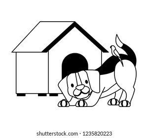 pet shop related