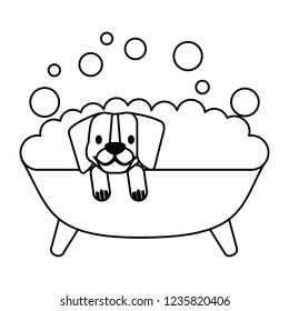 pet shop related