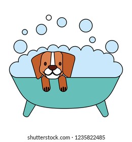 pet shop related