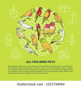 Pet shop round concept banner with parrot icons in line style