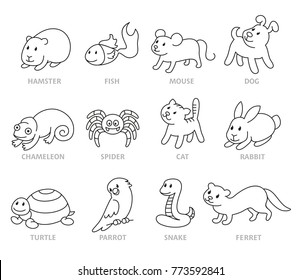 Pet shop, set types of pets, cartoon illustrations animals in line style. Logo, pictogram, infographic elements