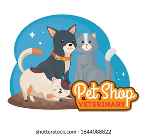 pet shop veterinary with cute cats and dog vector illustration design