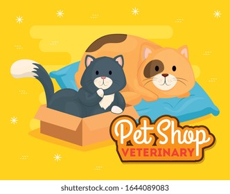 pet shop veterinary with cute cats vector illustration design