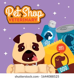 pet shop veterinary with cute dog and icons vector illustration design