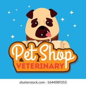 pet shop veterinary with cute dog vector illustration design