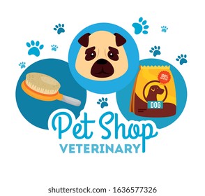 pet shop veterinary with face little dog and icons vector illustration design