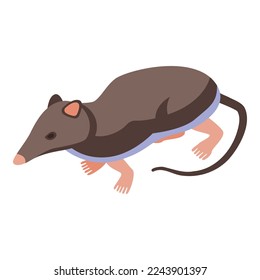Pet shrew icon isometric vector. African mammal. Tail mouse