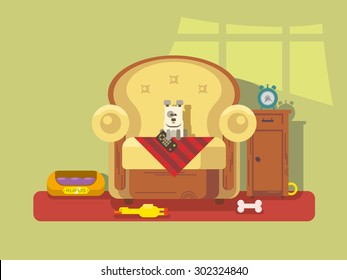 Pet sitting in chair. Armchair sitting dog, bone and friend, flat vector illustration