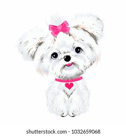 pet sitting dog white Maltese with pink bow and heart background vector