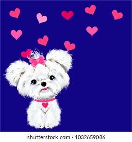 pet sitting dog white Maltese with pink bows and hearts on a blue background vector