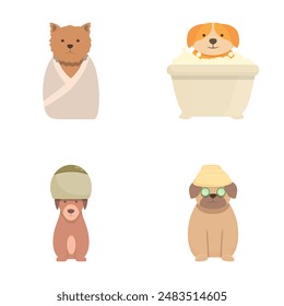 Pet spa icons set cartoon vector. Cute dog enjoying salon procedure. Clean happy pet
