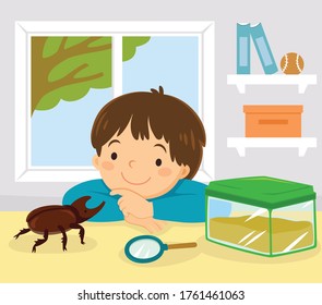 Pet stag beetle, Japanese rhinoceros beetle or Japanese horned beetle. Little kid playing with his pet kabutomushi beetle at home.