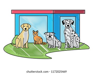 pet store design