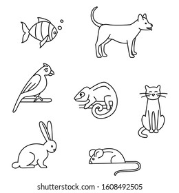 Pet store dogs, cats, birds, rabbit, parrot, fish, mouse, chameleon set black and white. Vector illustration doodles, set of pet shop goods in thin line art sketch style