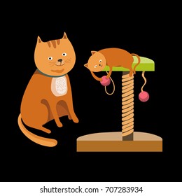 Pet stuff.  Vector flat illustration.