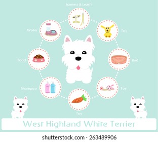 Pet Supplies (west highland white terrier) infographic on warm background - vector set of icons and illustrations