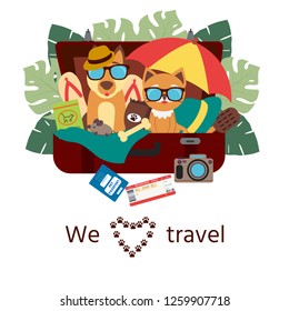 Pet travel. A cute dog and cat sitting in a suitcase and vacation accessories.  Logo for travel on a sticker, poster, card, business card for a travel company.