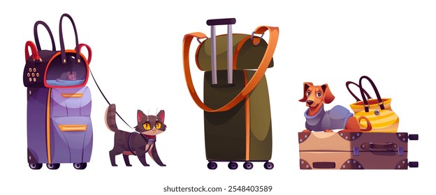 Equipo de viaje para mascotas con mochila de transporte para gatos, equipaje rodante con correas, maleta donde el Pequeño perro marrón se sienta al lado del bolso. Equipamiento para viaje cómodo con animales domésticos.