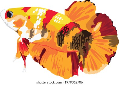 Pet Vector Betta Fish With Transparent Background For Your Design Logo Bussines, Banner, Wallpaper, Card Etc.